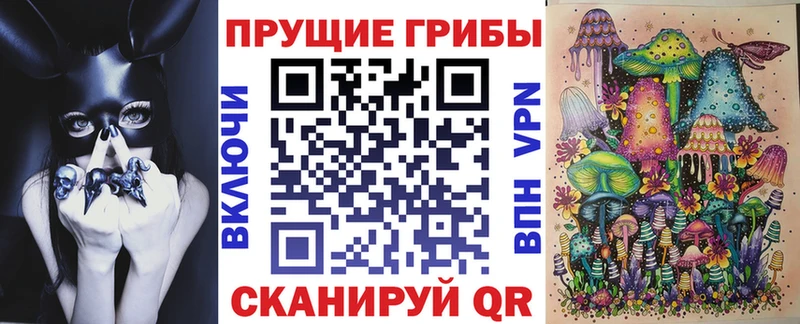 Галлюциногенные грибы Cubensis Весьегонск